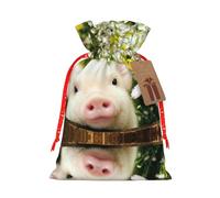 Sacs de Noël en forme de cochon de viol pour fête d'anniversaire ou de mariage