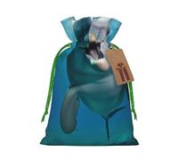 Sacs de Noël réutilisables avec cordon de serrage imprimé drôle de dauphin qui vous regarde, pour emballage cadeau de Noël, ruban de Noël vert, taille M