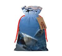 Sacs de Noël réutilisables avec cordon de serrage Motif mer calme et rochers pour emballage cadeau de Noël, ruban rouge, taille S