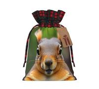 Sacs décoratifs réutilisables avec cordon de serrage Motif écureuil amusant