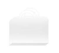 Sacs d'emballage cadeau en acrylique avec poignées réutilisables pour enterrement de vie de jeune fille, demoiselle d'honneur, mariage