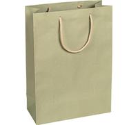 Sacs en papier 27 x 37 x 12 cm, vert sauge, lisses, anse en corde - lot de 12