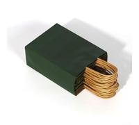 Sacs en papier compostables avec poignées - Sacs de courses marron recyclé pour travaux manuels et transport - Plusieurs couleurs et tailles pour les consommateurs soucieux de l'environnement (vert