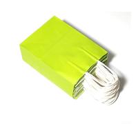 Sacs en papier marron avec poignées, fabriqués à partir de papier recyclé, construction à fond solide, compostables et réutilisables, adaptés pour de multiples utilisations, emballage en vrac (vert