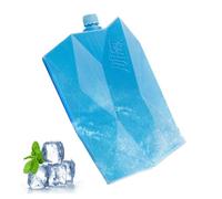 Sacs Gel Réutilisables Pour Réfrigérateur Portable | Congélateurs Portables Pour Refroidir Les Nourritures Et Boissons,Réutilisables Pour Voyage Plage Camping Pique-Nique École