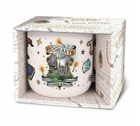 Sacs Harry Potter Umkarton Poudlard 355 ml (6)