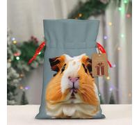 Sacs réutilisables avec cordon de serrage - Imprimé cochon d'Inde - Pour fêtes, anniversaires et fêtes - Respectueux de l'environnement