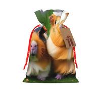 Sacs réutilisables avec cordon de serrage - Motif cochons d'Inde - Pour fêtes, anniversaires et fêtes - Respectueux de l'environnement