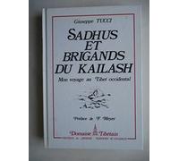 Sadhus et brigands du kailash : mon voyage au tibet occidental