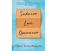Sadness, Love, Openness: The Buddhist Path of Joy - [Version Originale] Inconnu (Auteur)