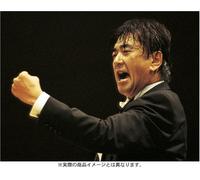 Sado Yutaka-Hyogo Performing Arts Center Opening [Edizione: Giappone] [Import]
