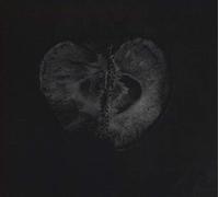 Sadon & Treha Sektori - Symphony of Dying -Digi-