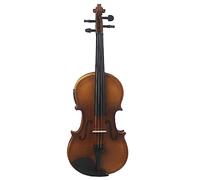 SADPRKR Coffret électrique violon acoustique violon électrique débutant violon bois
