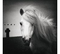 Sads - Lesson 2 [+Bonus DVD] [Import]