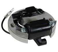 Sägenspezi Allumage électronique (remplace Bosch et Ducati) pour Stihl TS 350 360 TS350 TS360