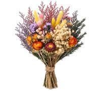 Saerryor Lot de 30 fleurs séchées naturelles, 10 variétés assorties pour | Fleurs séchées sans colorant, pour affichage de vase, cadres photo, cartes de vœux, projets d'artisanat