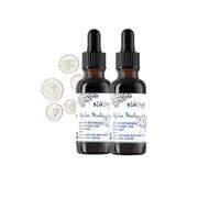 SAEVE Sérum Botanique Hydratant 24h Apaisant - Sérum Visage à la Sève de Bouleau Bio & Mauve - Hydrate Intensément, Repulpe et Lisse - Soin Visage Peaux Sensibles - 98% Naturel - 30 ml x 2 Pcs