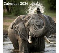 Safari 2026 African Wildlife Calendar: Monthly Organizer & Planner for Home or Office (8.5" x 8.5")