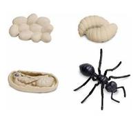 Safari acteurs Cycle de vie d'une fourmi beige/noir 4 parties Noir G