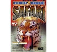 Safari:African Cats, Bear Cubs
