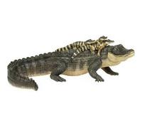 SAFARI - alligator avec bebes G