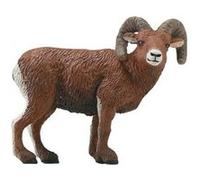 SAFARI - chevreuil G