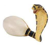 SAFARI - eclosion du cobra G