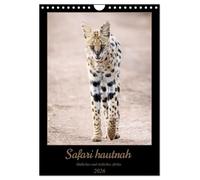 Safari hautnah - Südliches und östliches Afrika (Wandkalender 2026 DIN A4 hoch), CALVENDO Monatskalender: Mit Afrikas Tierwelt auf Augenhöhe