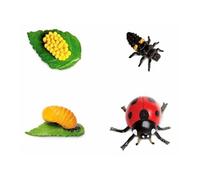 Safari jeu de rôle Cycle de vie coccinelle junior 4-pièces