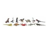 Safari Ltd Jeu de rôle Galapagos Toob Junior – 12 pièces – Multicolore