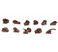 Safari Ltd Dinosaur Skulls Toob Figure Multicolore From 3 Years