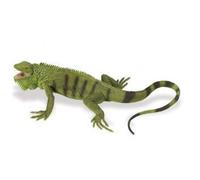 Safari Ltd 267729 Iguane Vert 25 Cm Série Créatures Incroyables
