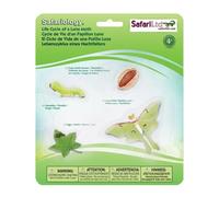 Safari Ltd Cycle De Vie D´un Papillon Lune