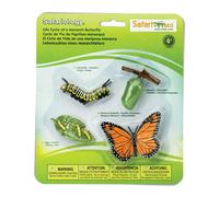 Safari Ltd. Jeu de rôle Cycle de vie du papillon monarque S622616 4 pièces Junior Marron G