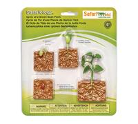 Safari Ltd Cycle De Vie D´un Plant De Haricot Vert Figure