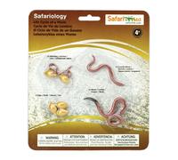 Safari Ltd Cycle De Vie D´un Ver Figure