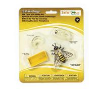 Safari Ltd Cycle De Vie D´une Abeille