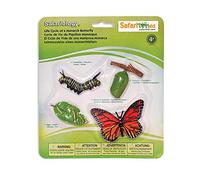 Safari Ltd. Jeu de rôle Cycle de vie du papillon monarque S622616 4 pièces Junior Marron G