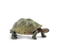 Safari Ltd Desert Tortoise
