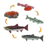 Safari Ltd Figure Life Cycle Salmon