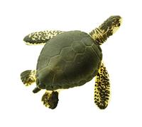 Safari Ltd Figure Sea Turtles Good Luck Minis