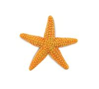 Safari Ltd Figure Starfish Sea Life