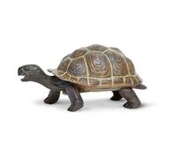 Safari Ltd Figurine Bébé Tortue