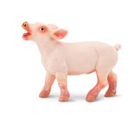 Safari Ltd Figurine De Porcelet