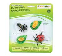 Safari Ltd Figurine Du Cycle De Vie D´une Coccinelle