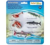 Safari Ltd Cycle de Vie d'un Saumon 43.9cm | Contient 5 Figurines de Poisson | Non-Toxique et sans BPA | Convient aux Enfants de 4 Ans et Plus