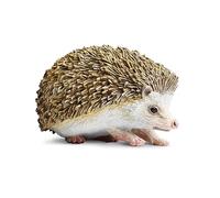 Safari Ltd- erinaceinae Animal Hedgehog, 261129, Multicolore