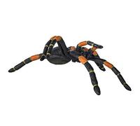 Safari Ltd Hidden Kingdom ¿ Orange-Kneed Tarantula ¿ Realistic Hand Painted Toy Figurine For Ages 3 And Up ¿ Large