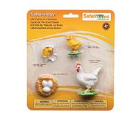 Safari Ltd Life Cycle of A Chicken