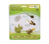 Safari Ltd Life Cycle of A Frog, Grenouille